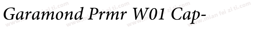 Garamond Prmr W01 Cap字体转换